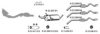 EBERSP?CHER 232363 Exhaust System